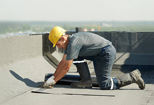 Best Geographic-Specific Insulation Services in Newstle, CA
